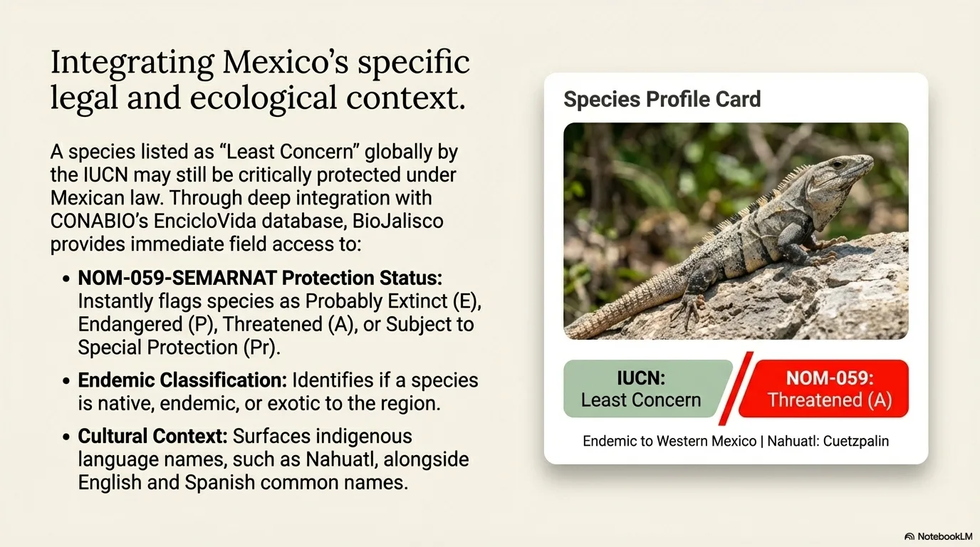 BioJalisco Species Identifier
